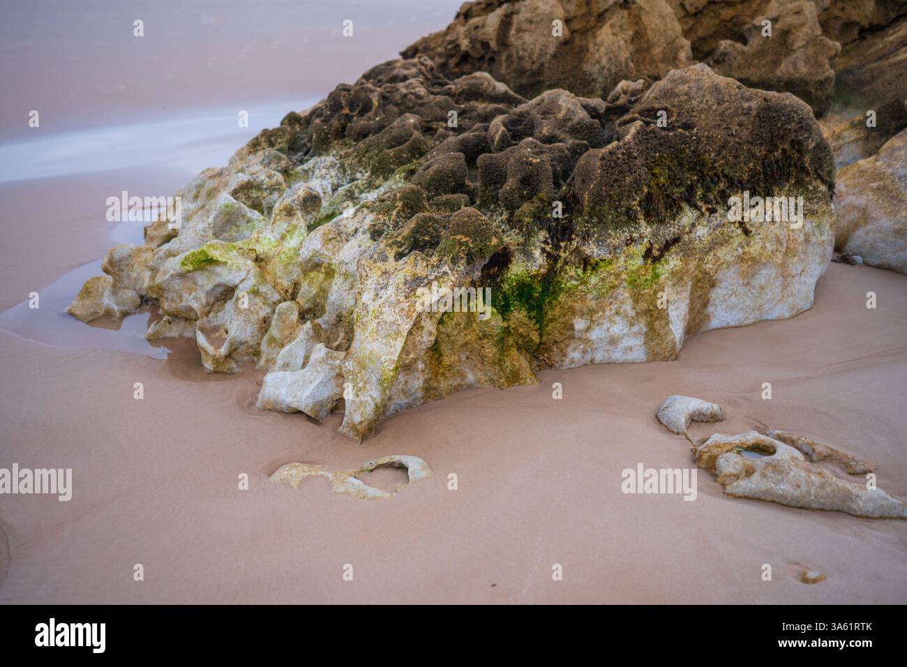 Rochers et formations sur la plage de Praia Baleal-Norte dans l'île de Baleal, Portugal Banque D'Images