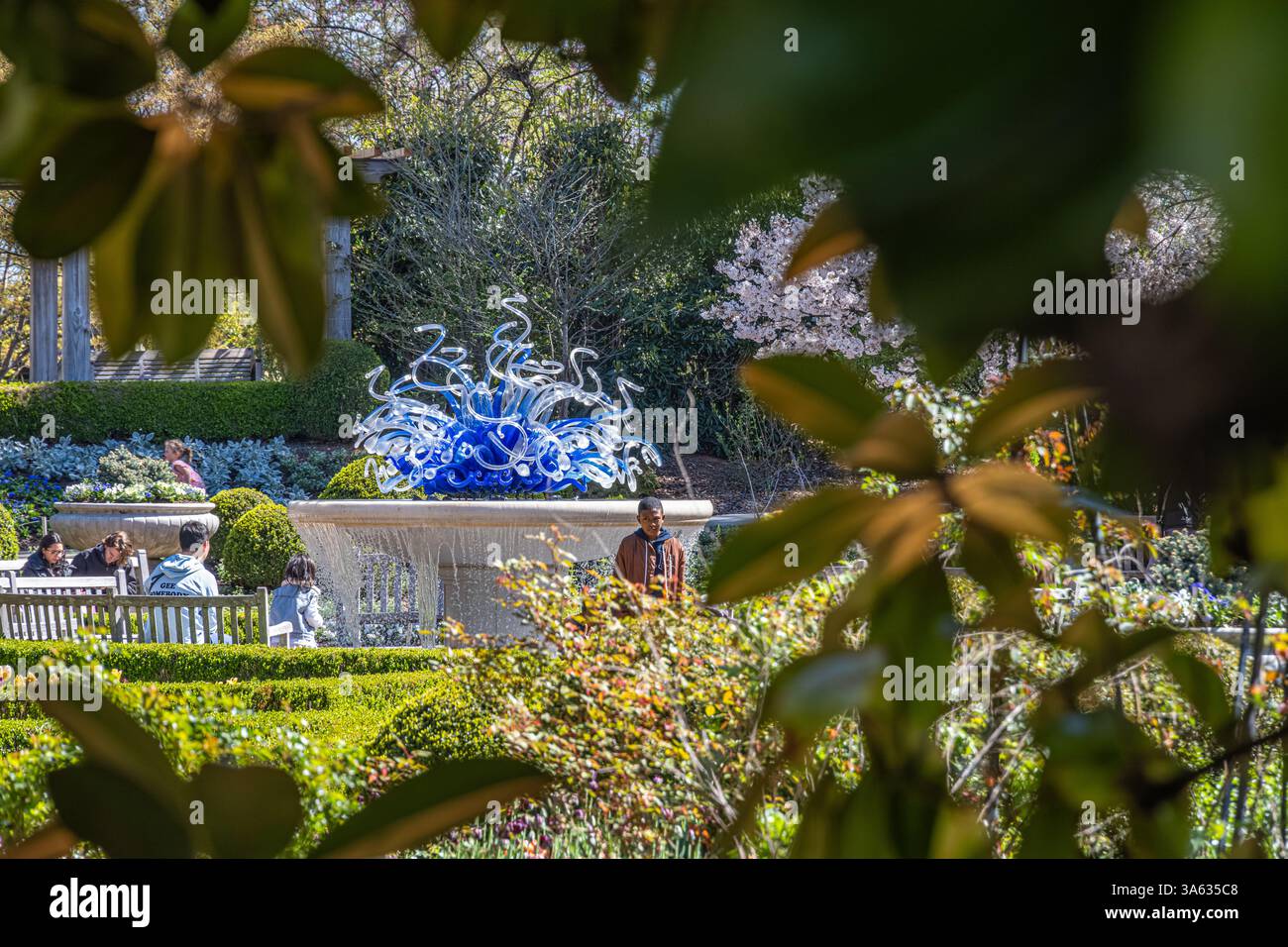 Cour Levy parterre au jardin botanique d'Atlanta à Midtown Atlanta, Géorgie. (ÉTATS-UNIS) Banque D'Images