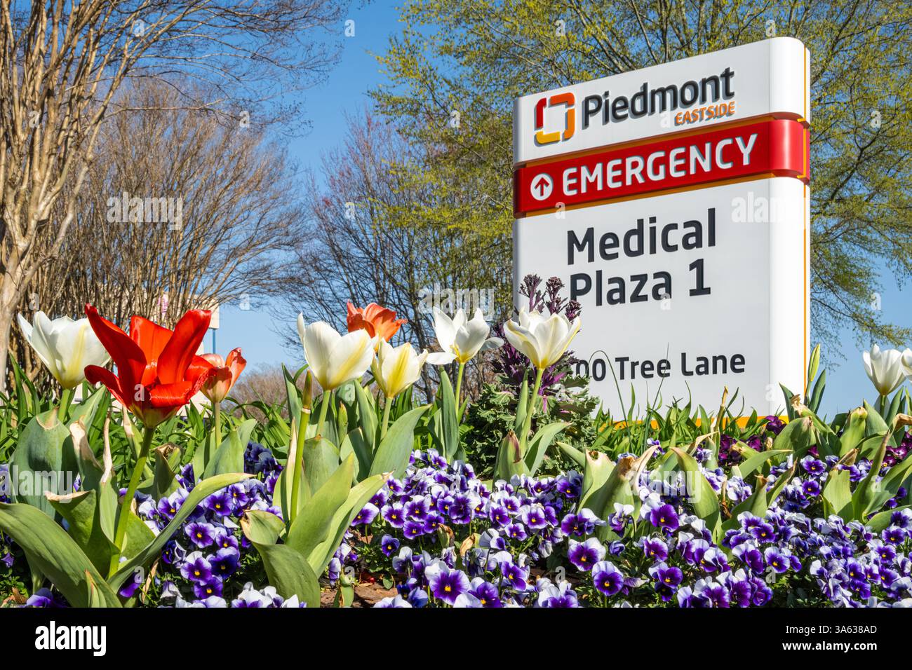 Panneau d'entrée du Piedmont Eastside Medical Center à Snellville, Géorgie. (ÉTATS-UNIS) Banque D'Images