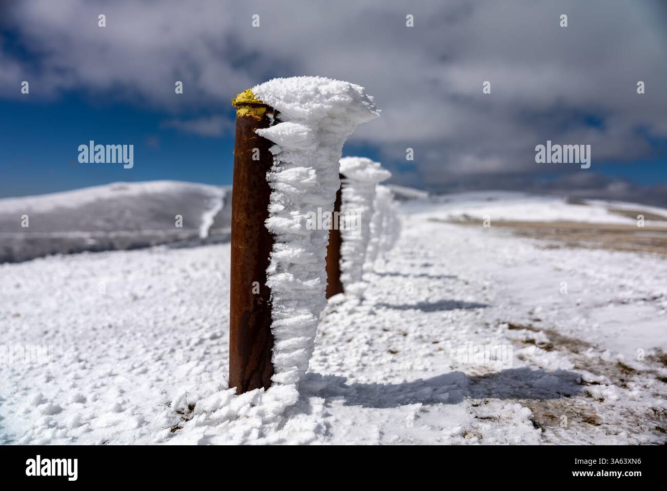 La neige et la glace accrochées aux poteaux marquant une route de montagne créent un paysage hivernal magnifique sous un ciel lumineux et ensoleillé Banque D'Images