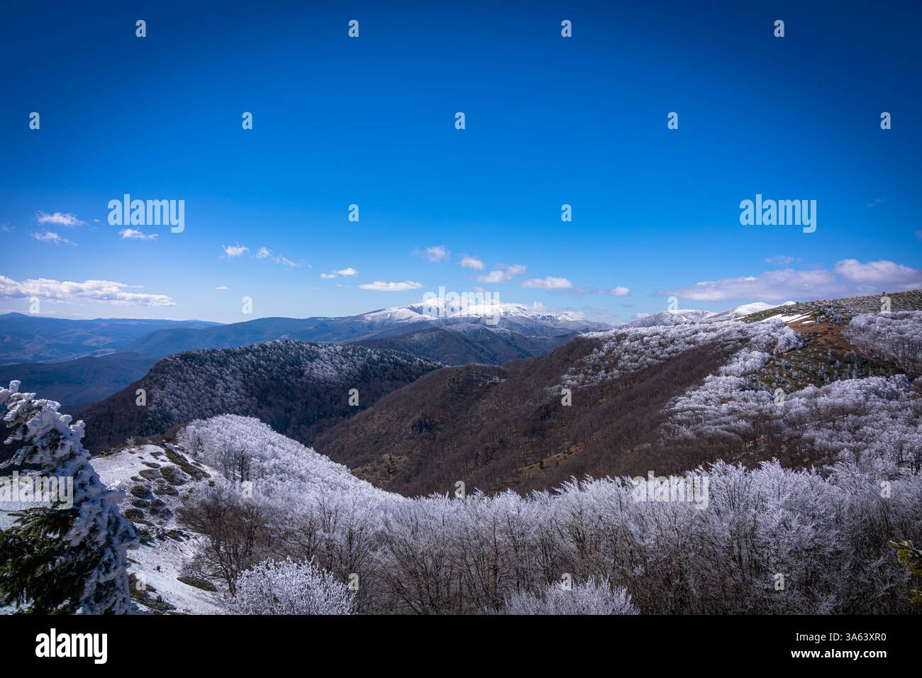 Paysage hivernal pittoresque avec des sommets de montagne enneigés, des arbres givrés et un ciel bleu clair, créant une vue sereine et pittoresque Banque D'Images