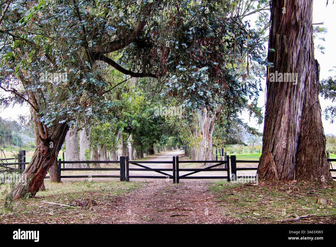Mars 2021 Banque D'Images