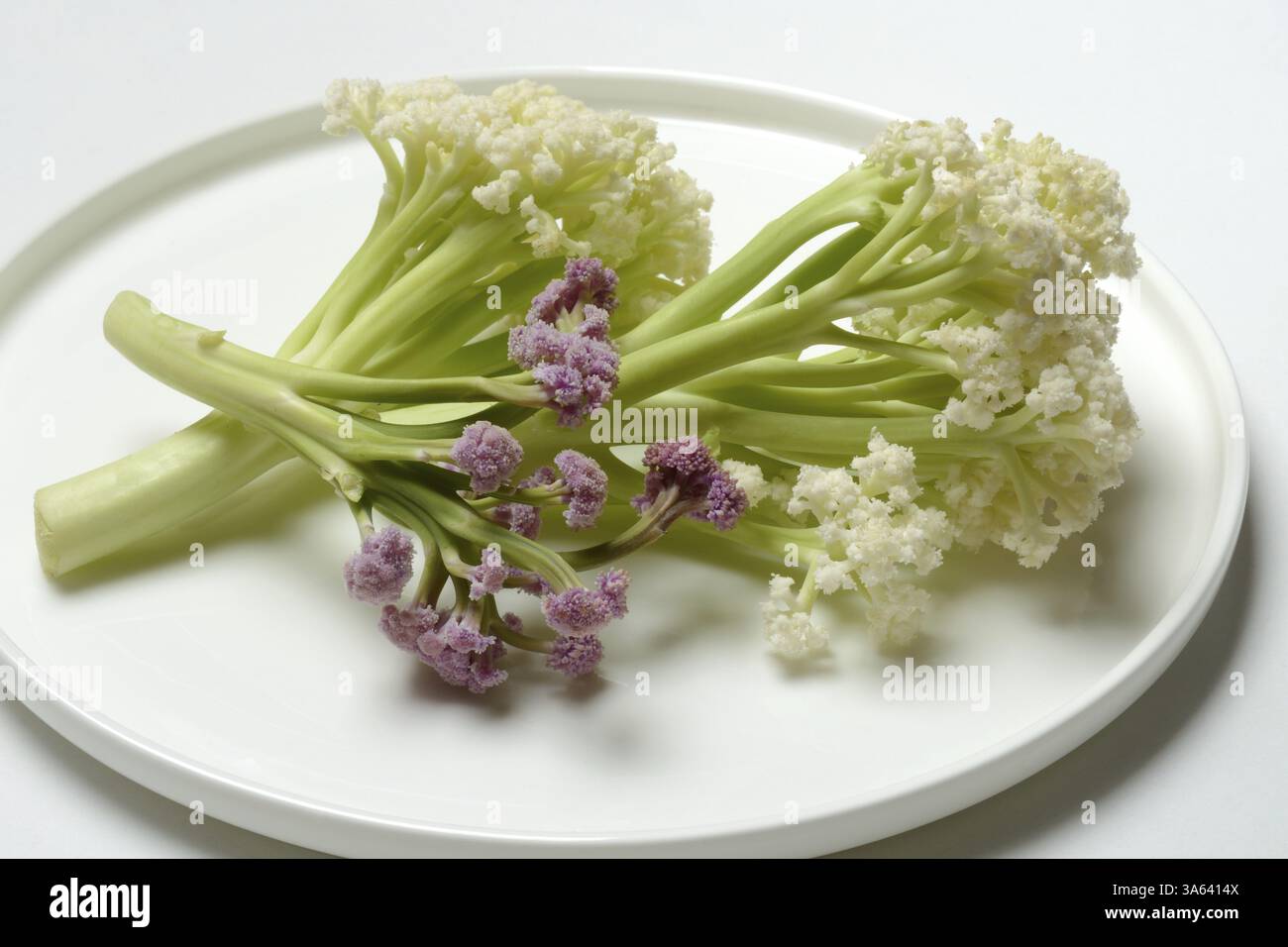 Fioretto, un croisement entre le chou-fleur et le brocoli. Les fleurs rappellent le corail, les légumes Banque D'Images