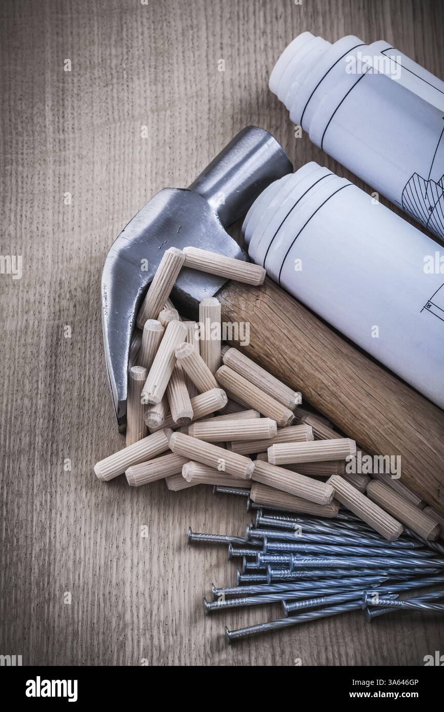 Bleus roulés marteau à griffes chevilles en bois et clous de construction en acier inoxydable Banque D'Images