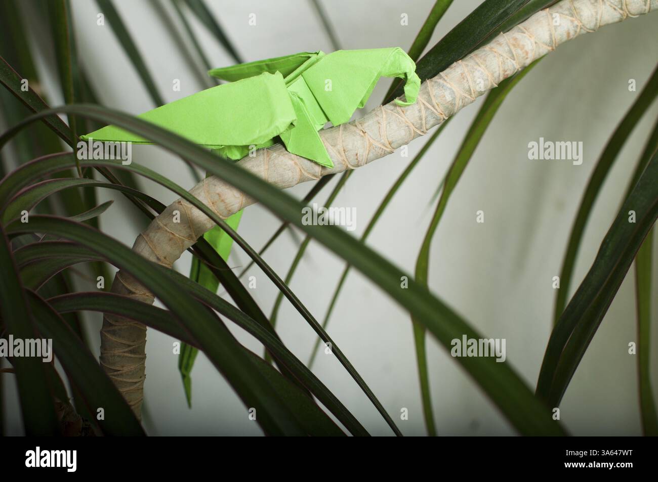 Perroquet sur un arbre. Style origami plié. Perroquet en papier Banque D'Images