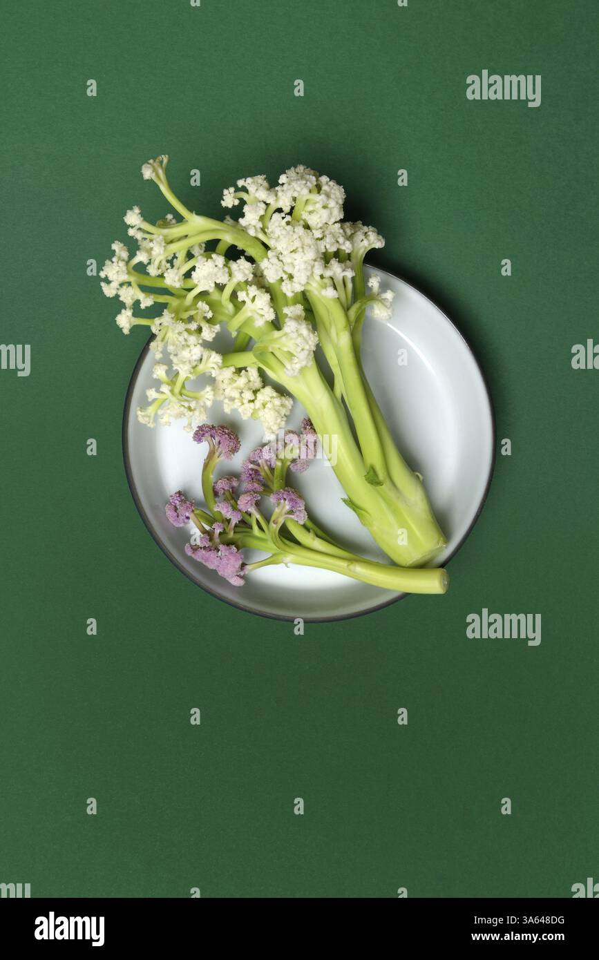 Fioretto, un croisement entre le chou-fleur et le brocoli. Les fleurs rappellent les coraux, les légumes sur les assiettes Banque D'Images