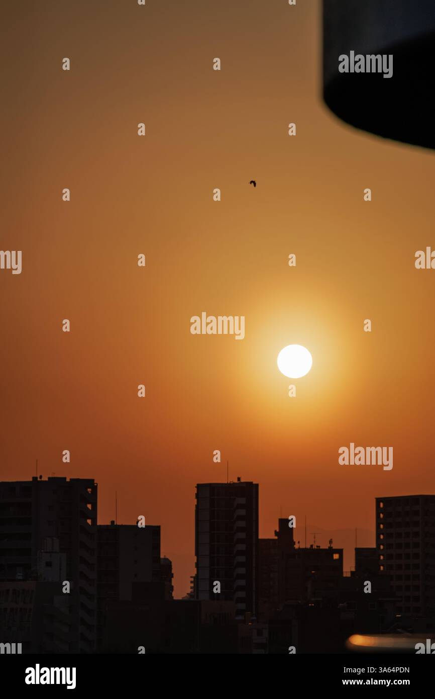 Des gratte-ciel silhouettés se dressent contre un ciel orange dans un coucher de soleil brumeux. Un corbeau vole à travers la lueur orange au-dessus du paysage urbain. Banque D'Images