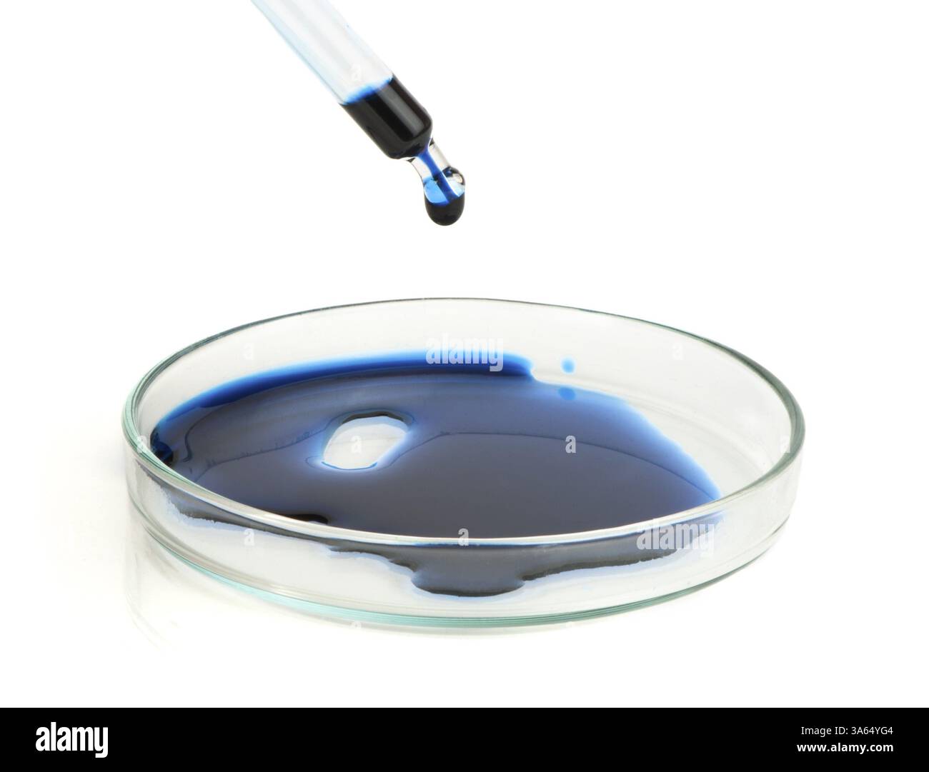 Verrerie de laboratoire de l'équipement. Avec compte-gouttes de liquide bleu Banque D'Images