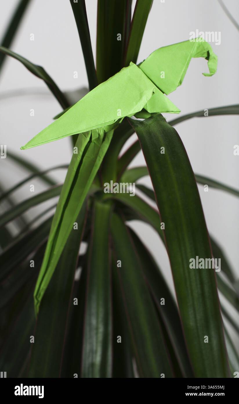 Perroquet sur un arbre. Style origami plié. Perroquet en papier Banque D'Images
