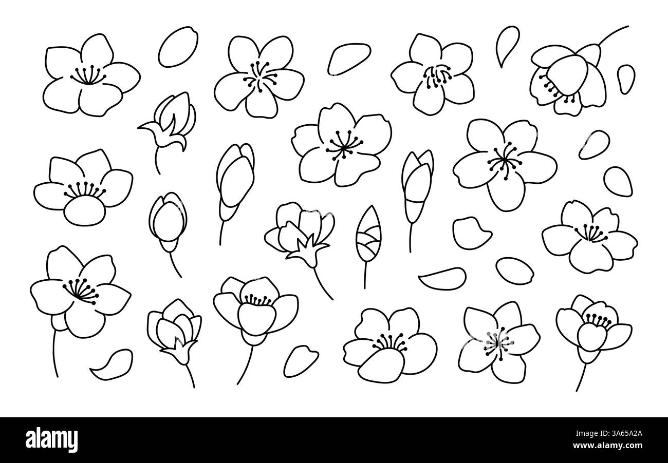 Ensemble de fleurs de cerisier. Illustration de contour. Griffonner. Fleurs de cerisier dessinées à la main isoler sur blanc. Collection Sakura. Dessin au trait Illustration de Vecteur