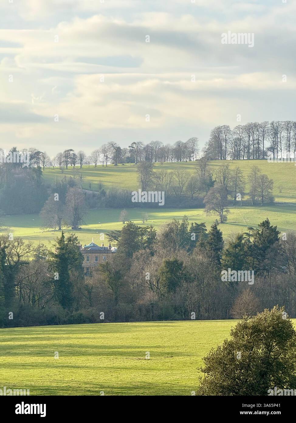 The Cricket St Thomas House, Estate and Hotel, Chard, Somerset Banque D'Images