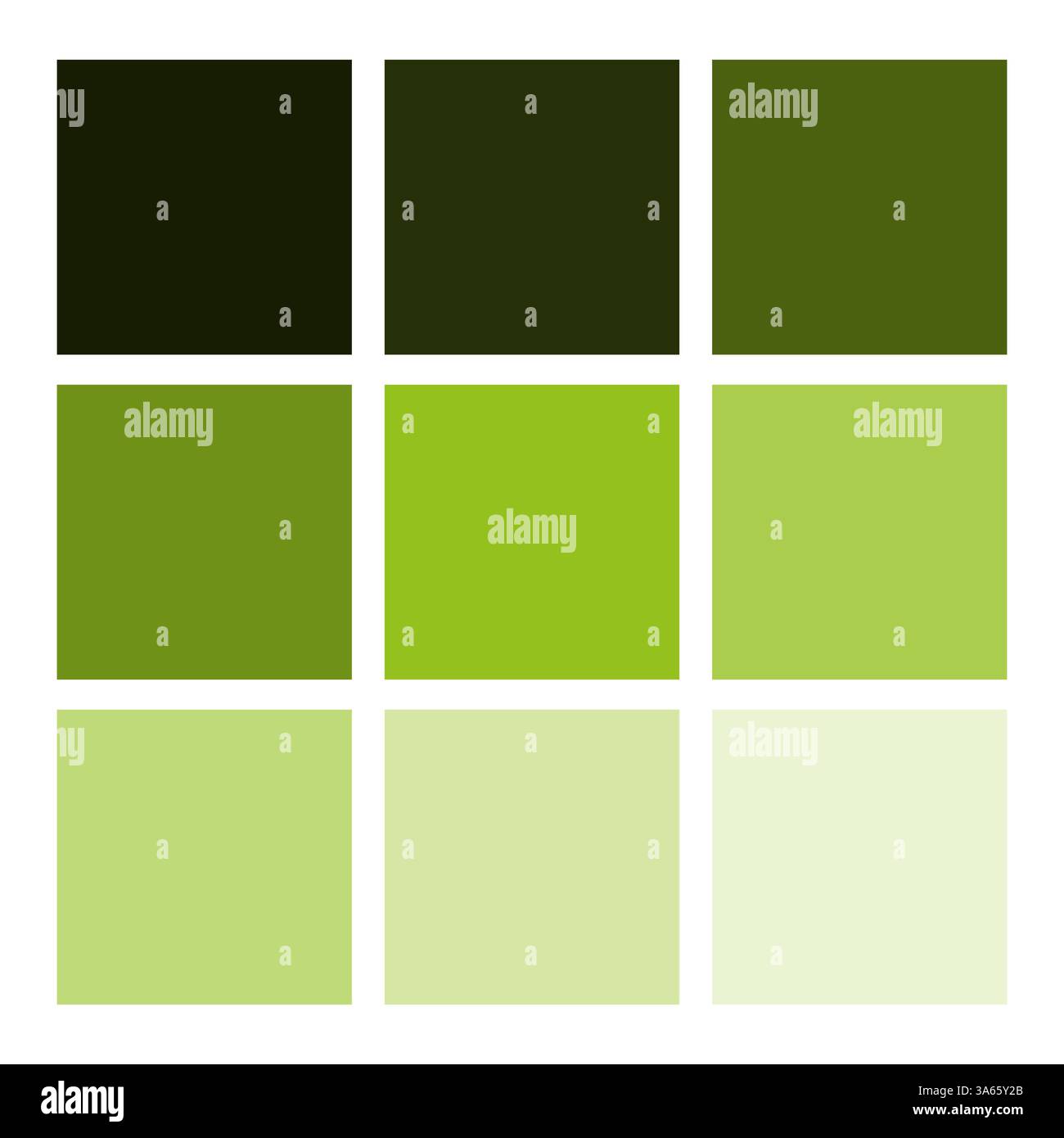 Palette de couleurs vertes. Dégradé défini. Nuances fraîches de la nature. Carrés vectoriels lumineux. Illustration de Vecteur