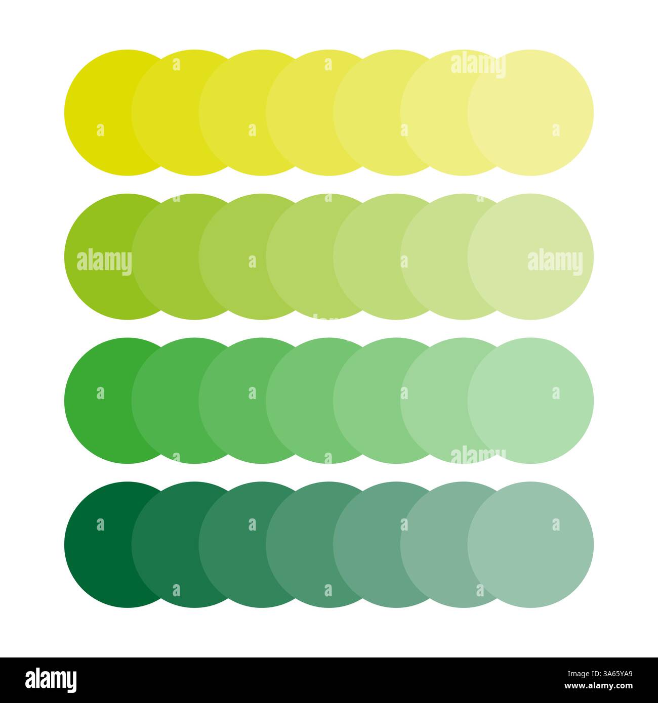 Palette de couleurs de dégradé. Nuances de vert à jaune. Agencement de forme circulaire. Transitions subtiles. Illustration de Vecteur