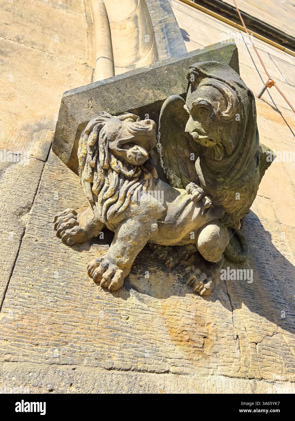 Le lion sculpté et les grotesques léogrypes sur le mur extérieur du pont médiéval Charles, Prague, Tchéquie Banque D'Images