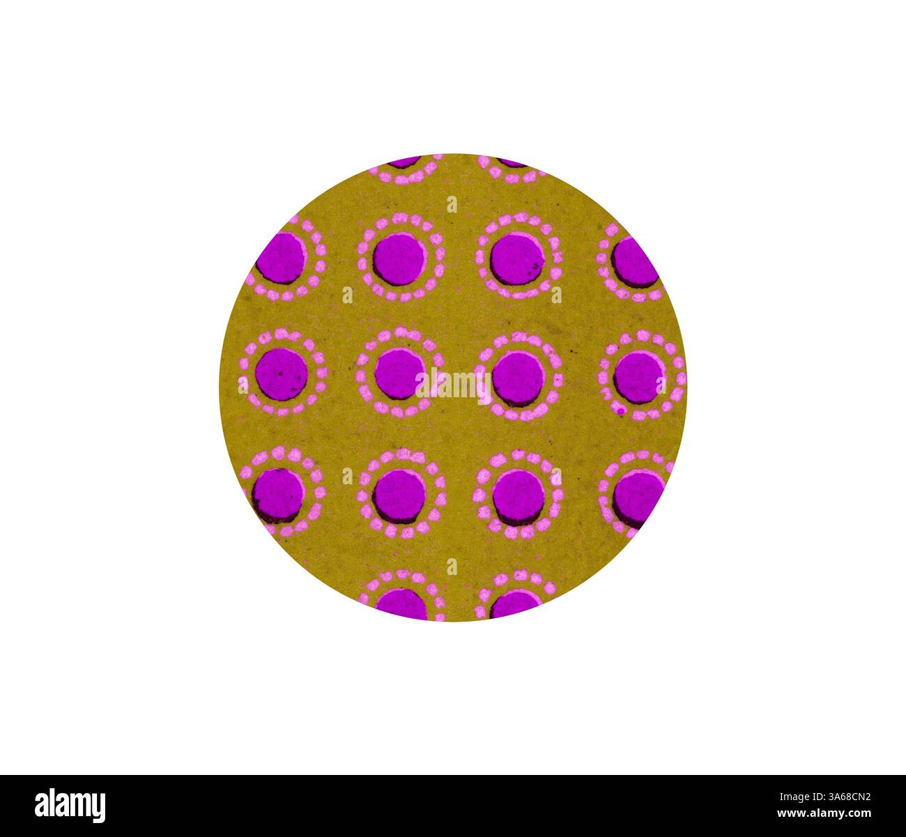 Un motif circulaire vibrant avec des grappes alternées de cercles roses et de points sur un fond chaud jaune moutarde. Art classique avec une touche moderne réinventé par Artotop, ornement égyptien transformé Banque D'Images