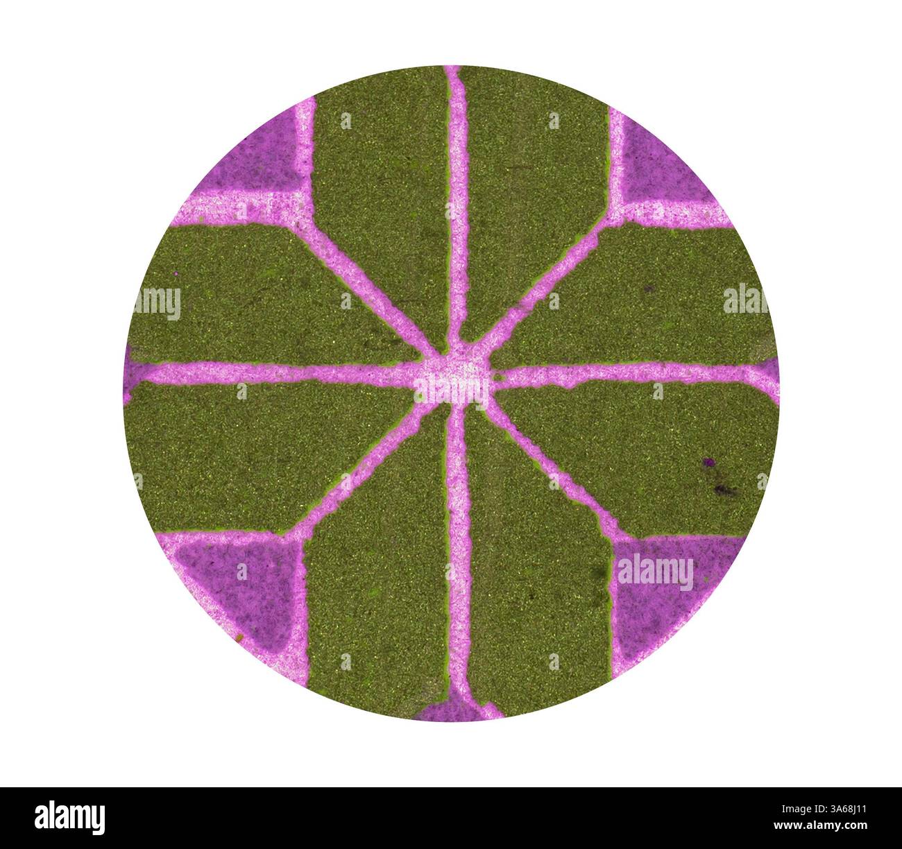 Un motif géométrique avec un design circulaire avec des segments roses et verts vibrants, créant une formation visuellement frappante ressemblant à une étoile au centre. Art classique avec une touche moderne réinventé par Artotop, transformé ornement byzantin Banque D'Images