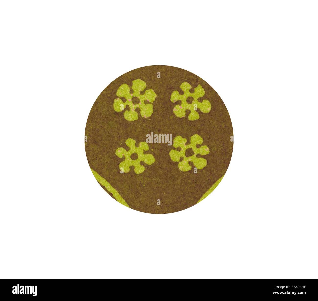 Motif circulaire composé de quatre fleurs stylisées disposées symétriquement, sur fond texturé. Les tons terreux améliorent la sensation organique du motif. Art classique avec une touche moderne réinventé par Artotop, transformé Mediæval ornement Banque D'Images