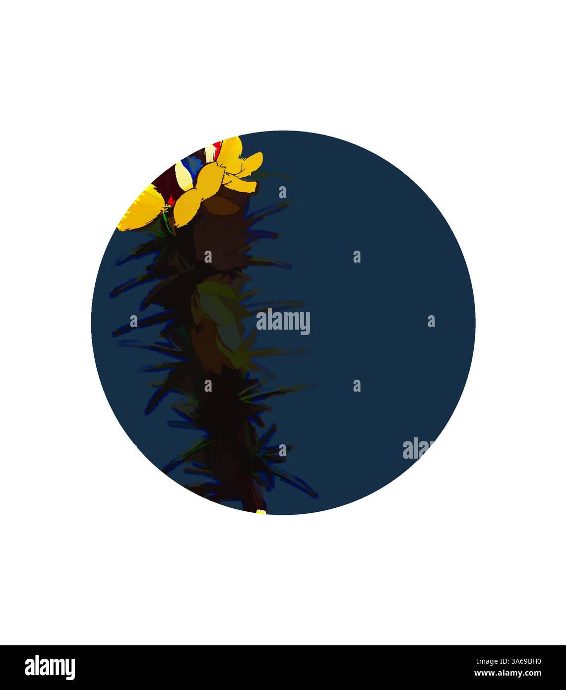 Un amas vibrant de fleurs jaunes émerge sur un fond bleu profond, avec un feuillage vert foncé subtil ajoutant de la profondeur et du contraste. La composition met en valeur la beauté de la nature de manière frappante et minimaliste. Art classique avec une touche moderne réinventé par Artotop, transformé Ulex eu-nanus, Dwarf Furze Banque D'Images