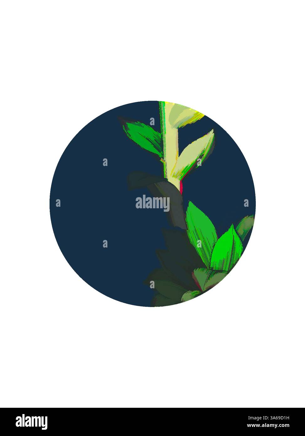 Une plante verte vibrante aux feuilles élégantes émerge sur un fond circulaire sombre, créant un contraste saisissant qui met en valeur sa beauté naturelle. Art classique avec une touche moderne réinventé par Artotop, transformé Sempervivum Tectorum, Common House-Leek Banque D'Images Une plante verte vibrante aux feuilles élégantes émerge sur un fond circulaire sombre, créant un contraste saisissant qui met en valeur sa beauté naturelle. Art classique avec une touche moderne réinventé par Artotop, transformé Sempervivum Tectorum, Common House-Leek Banque D'Images