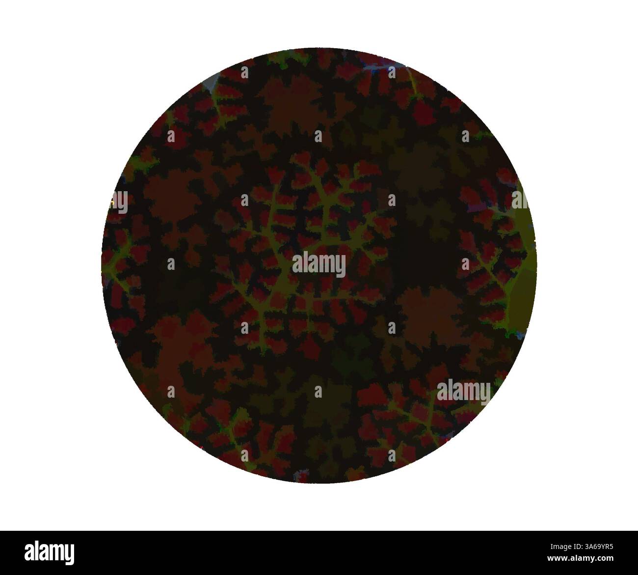 Un motif circulaire rempli de feuillage complexe et sombre, mélangé avec des notes de rouge et de vert, créant une tapisserie visuelle riche et texturée. Art classique avec une touche moderne réinventé par Artotop, transformé les tissus français, première moitié du XIXe siècle Banque D'Images