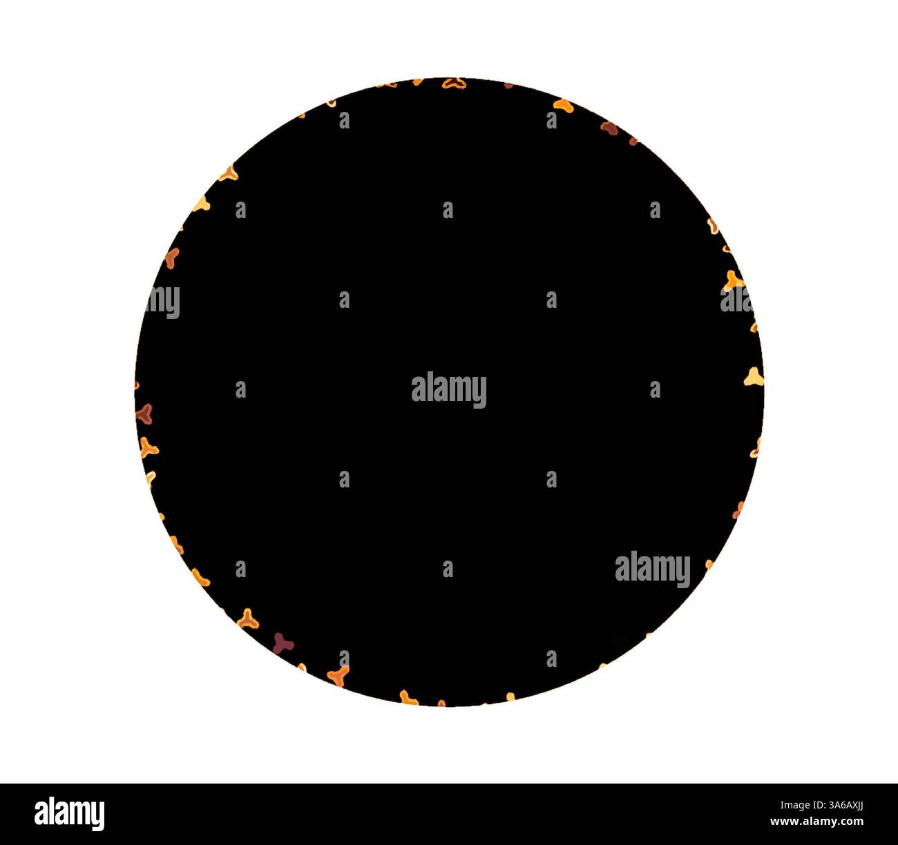 Un design circulaire avec une bordure complexe de silhouettes de papillon colorées contre un centre sombre. Art classique avec une touche moderne réinventé par Artotop, transformé les tissus français, première moitié du XIXe siècle Banque D'Images