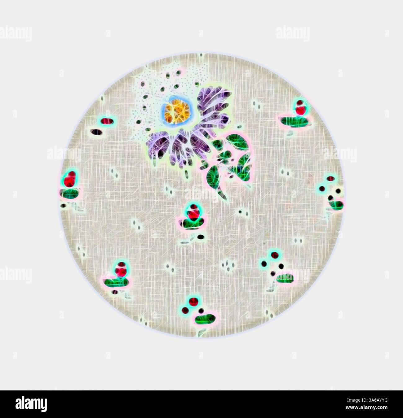 Un motif floral stylisé avec une fleur centrale avec des pétales délicats et un centre jaune vif, entouré de formes abstraites et colorées qui ressemblent à des feuilles ou des bourgeons. L'arrière-plan présente un aspect texturé et doux, ce qui améliore la qualité éthérée globale de la composition. Art classique avec une touche moderne réinventé par Artotop, transformé les tissus français, première moitié du XIXe siècle Banque D'Images