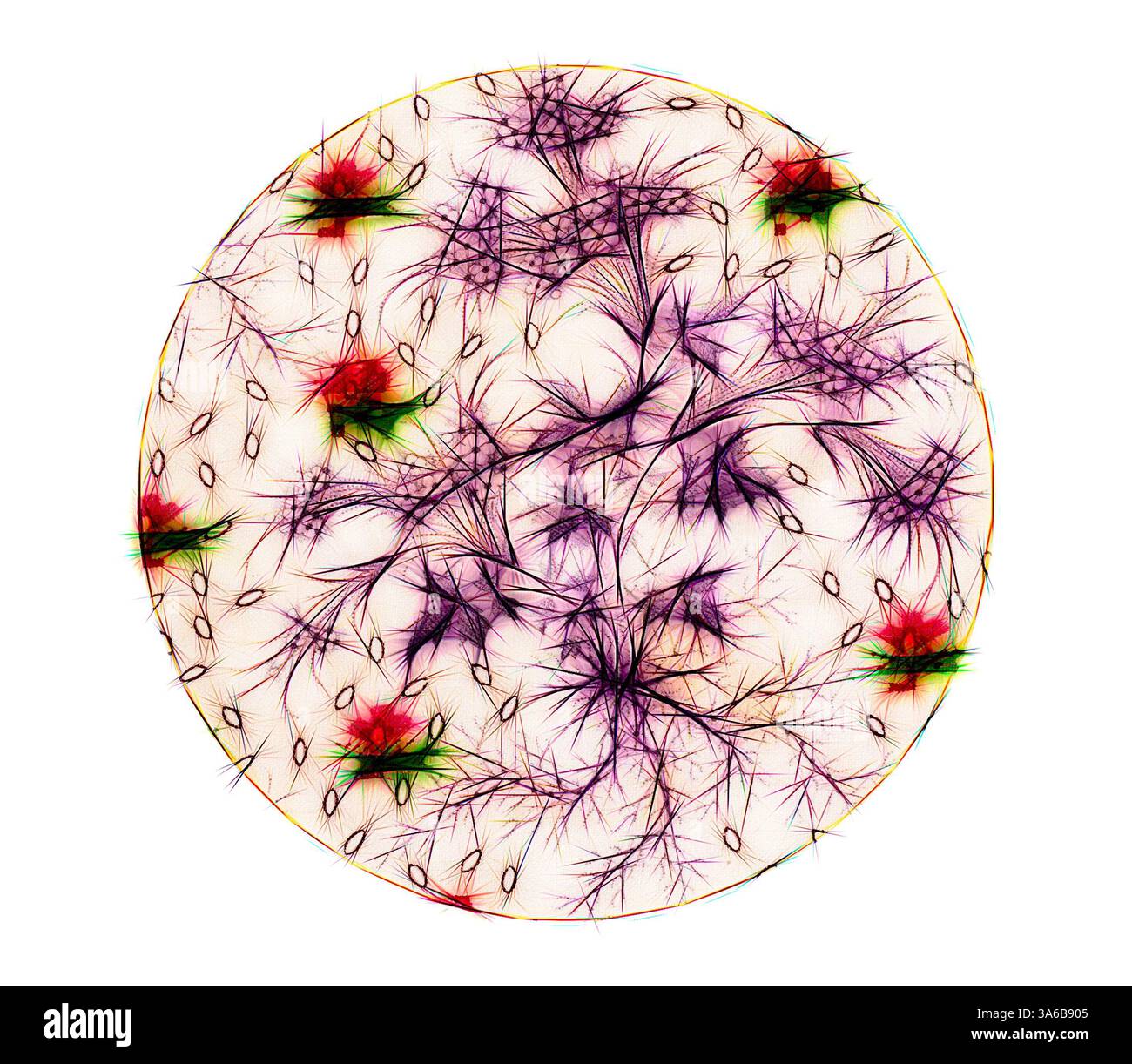 Un motif circulaire complexe présentant un réseau de lignes et de formes vibrantes, mélangeant des couleurs comme le vert, le rouge et le violet, rappelant une œuvre d'art abstrait complexe ou une visualisation d'éléments interconnectés. Art classique avec une touche moderne réinventé par Artotop, transformé les tissus français, première moitié du XIXe siècle Banque D'Images