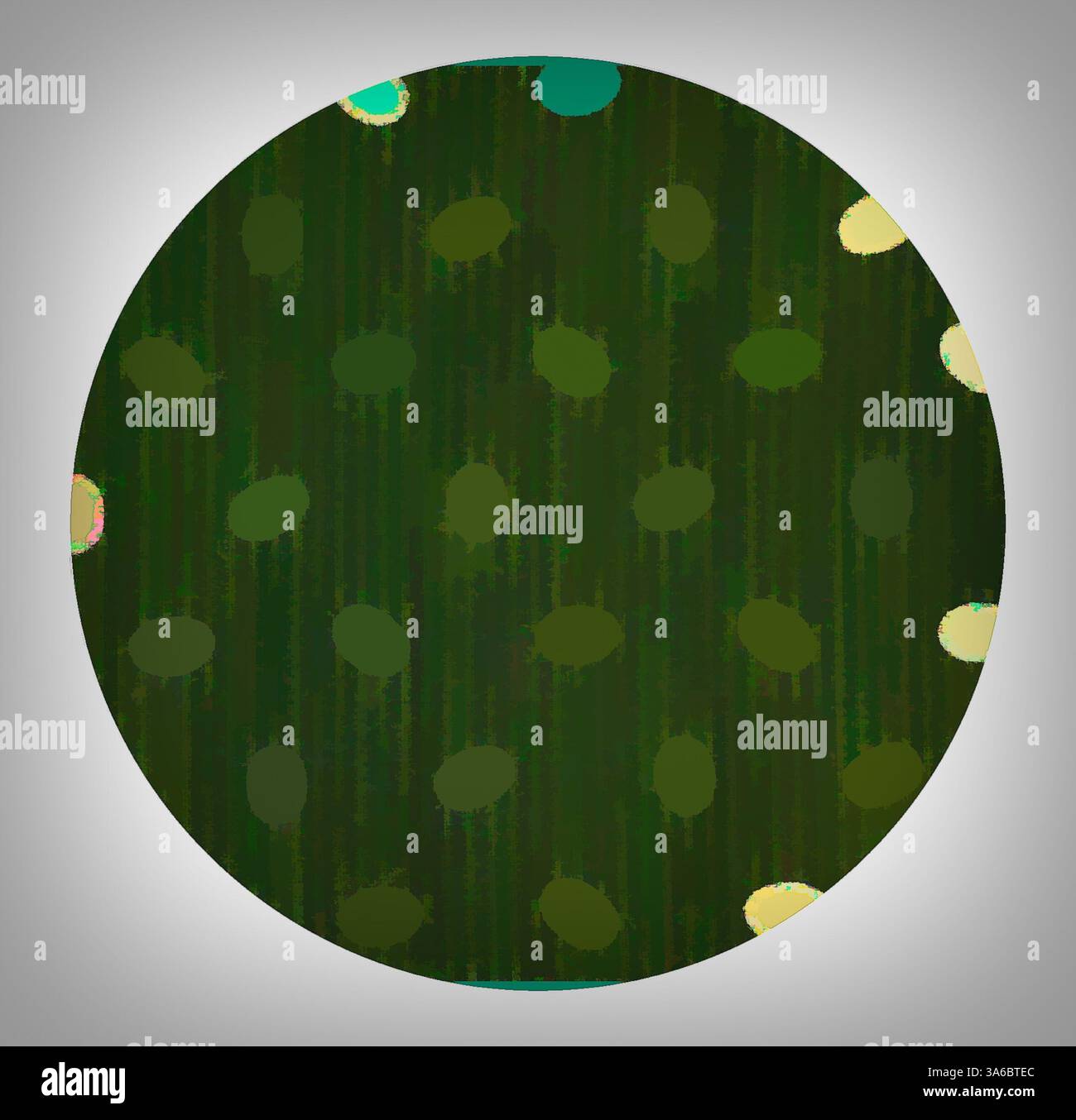 Un motif circulaire avec un fond sombre texturé orné de points de forme irrégulière et de couleurs variées dispersés dans tout le corps. Art classique avec une touche moderne réinventé par Artotop, transformé les tissus français, première moitié du XIXe siècle Banque D'Images