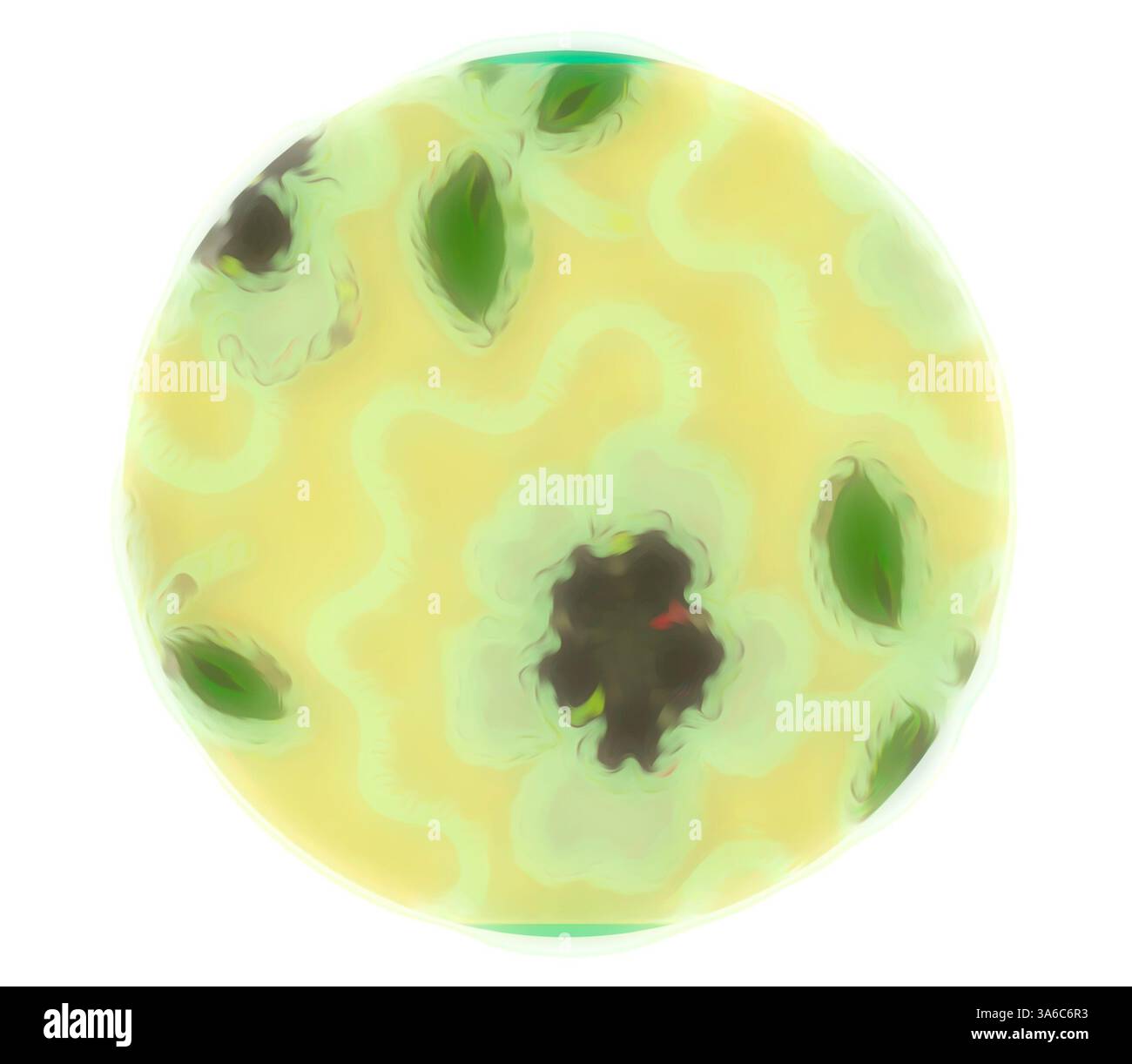 Une composition circulaire et abstraite avec des motifs doux et tourbillonnants et des teintes discrètes, évoquant un sens des formes organiques et des motifs inspirés de la nature. Les feuilles vertes délicates et les centres sombres suggèrent un thème floral ou botanique, créant une expérience visuelle tranquille et harmonieuse. Art classique avec une touche moderne réinventé par Artotop, transformé les tissus français, première moitié du XIXe siècle Banque D'Images