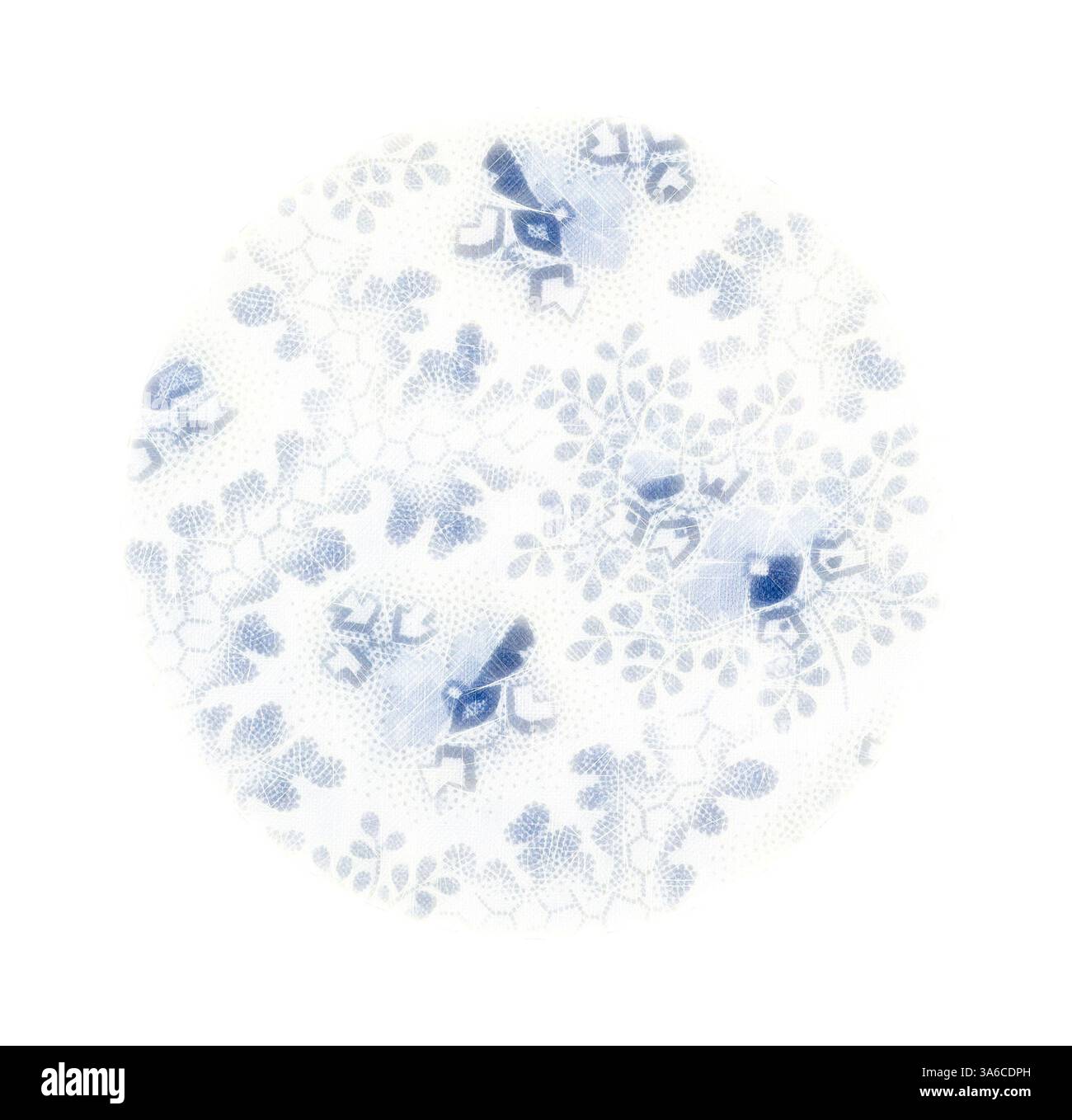 Un design circulaire délicat avec des motifs floraux complexes et de petits oiseaux, tous rendus dans des tons doux de bleu et blanc, créant une esthétique sereine et élégante. Art classique avec une touche moderne réinventé par Artotop, transformé les tissus français, première moitié du XIXe siècle Banque D'Images