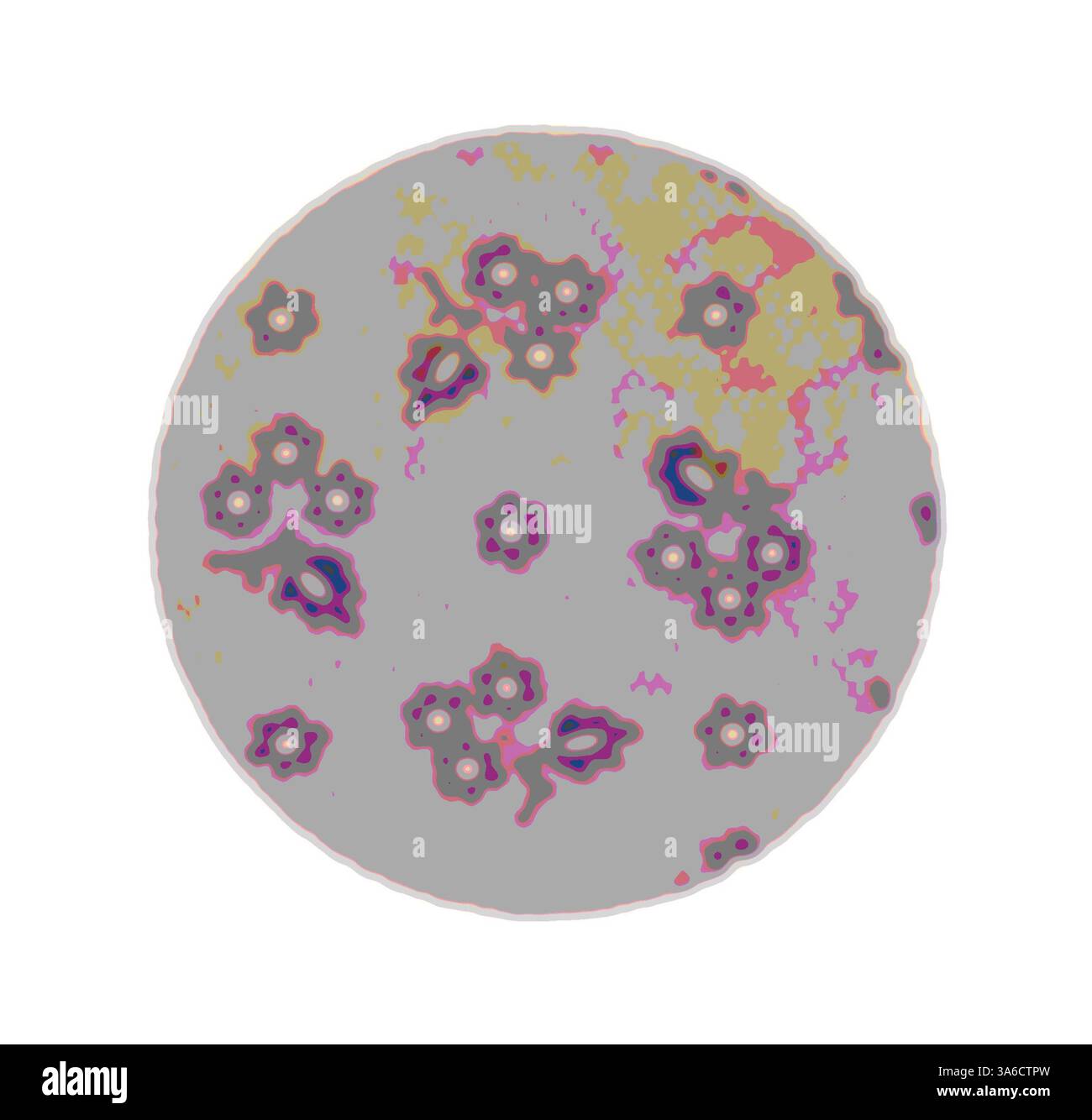 Un motif circulaire avec des formes abstraites et des couleurs vives, rappelant des organismes microscopiques ou une illustration scientifique détaillée. Le design présente des textures et des formes variées, créant une scène visuellement intrigante. Art classique avec une touche moderne réinventé par Artotop, transformé les tissus français, première moitié du XIXe siècle Banque D'Images