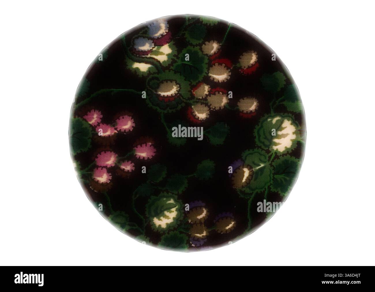 Un motif textile circulaire avec un motif complexe de raisins colorés et de feuillage sur un fond sombre, créant une esthétique riche et vibrante. Art classique avec une touche moderne réinventé par Artotop, transformé les tissus français, première moitié du XIXe siècle Banque D'Images