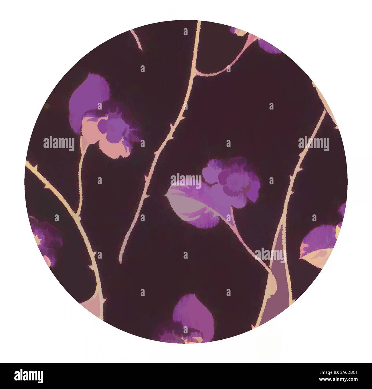 Un motif délicat composé de fleurs violettes éclatantes entrelacées de tiges élancées et incurvées sur un fond sombre, créant un motif floral saisissant. Art classique avec une touche moderne réinventé par Artotop, transformé les tissus français, première moitié du XIXe siècle Banque D'Images