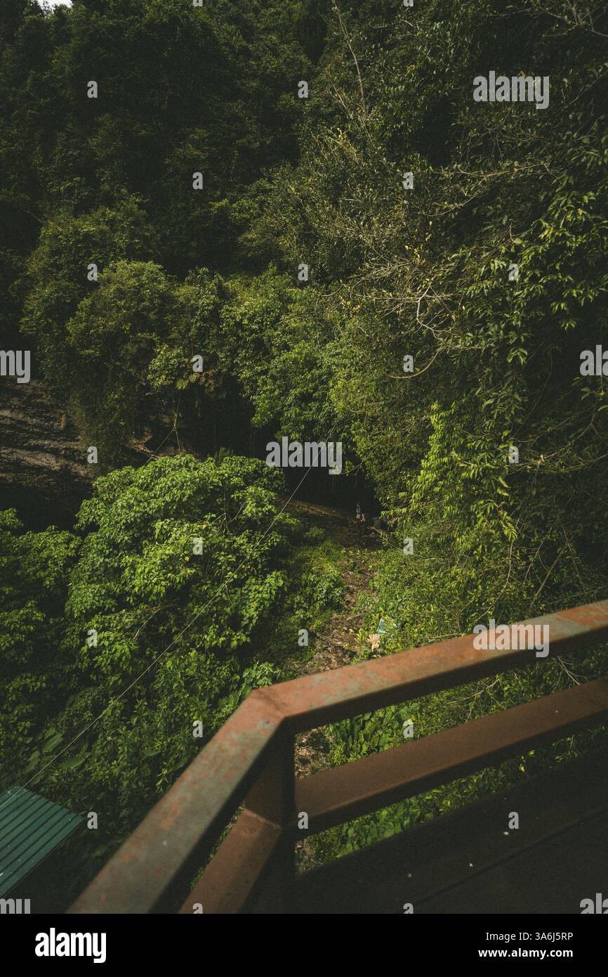 Vue sur la jungle depuis une balustrade en bois, entourée de verdure canopée, grotte de Sukau, Bornéo, Malaisie, Asie Banque D'Images