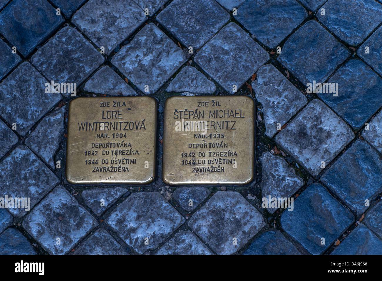 Photo de Stumbling Stones par l'artiste Gunter Demnig, à la mémoire de concitoyens juifs victimes du régime nazi. Prague. république tchèque. Banque D'Images