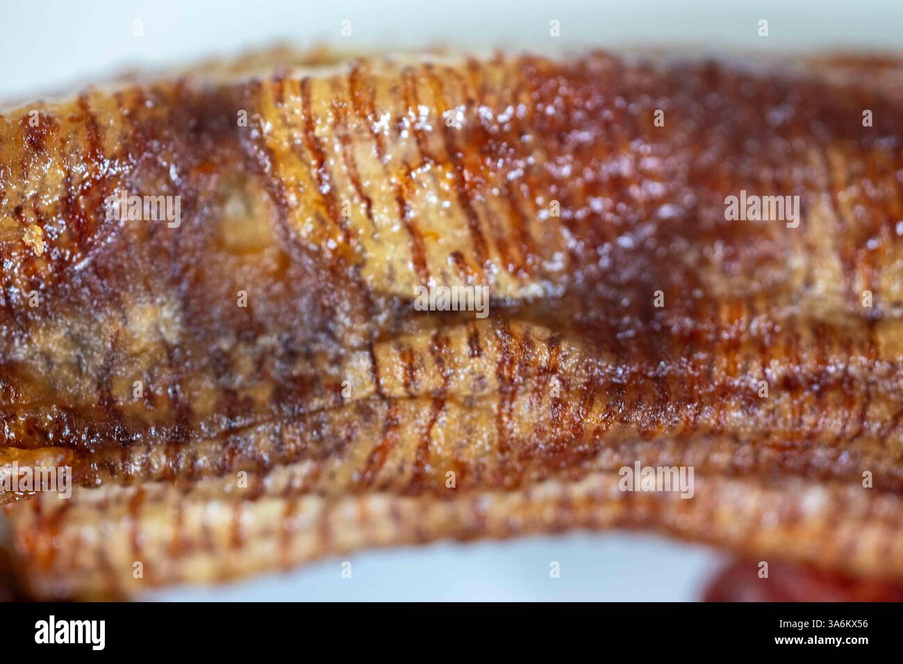 Groupe de fruits séchés déshydratés, dattes, baies de goji, raisins secs, bananes séchées et figues turques. Super nourriture Banque D'Images