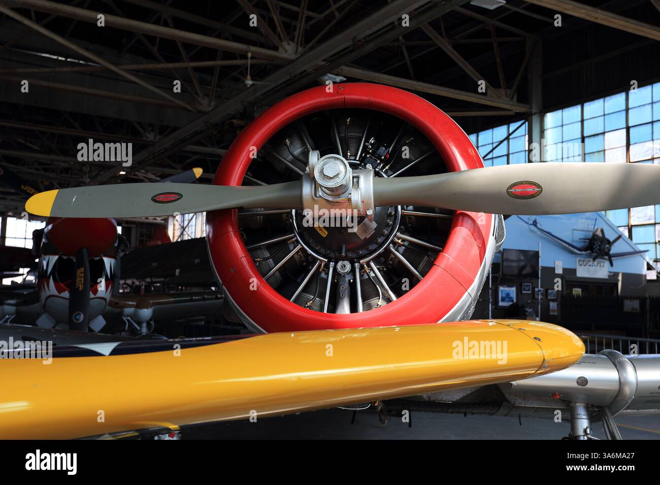 Devant AT-6D Texan, chasseur de la seconde Guerre mondiale, American Airpower Museum, Farmingdale, long Island, NY Banque D'Images