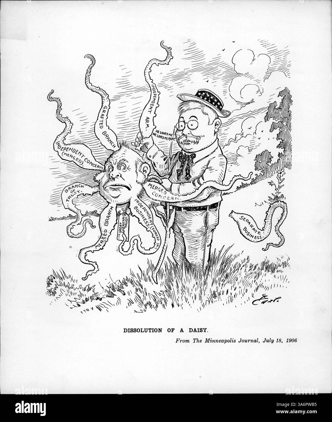 Dans cette caricature, le président Roosevelt choisit les pétales-tentacules d'une fleur de poulpe représentant des fiducies, symbolisant son programme anti-trust visant à briser les monopoles et à réglementer les grandes entreprises pendant sa présidence. Banque D'Images