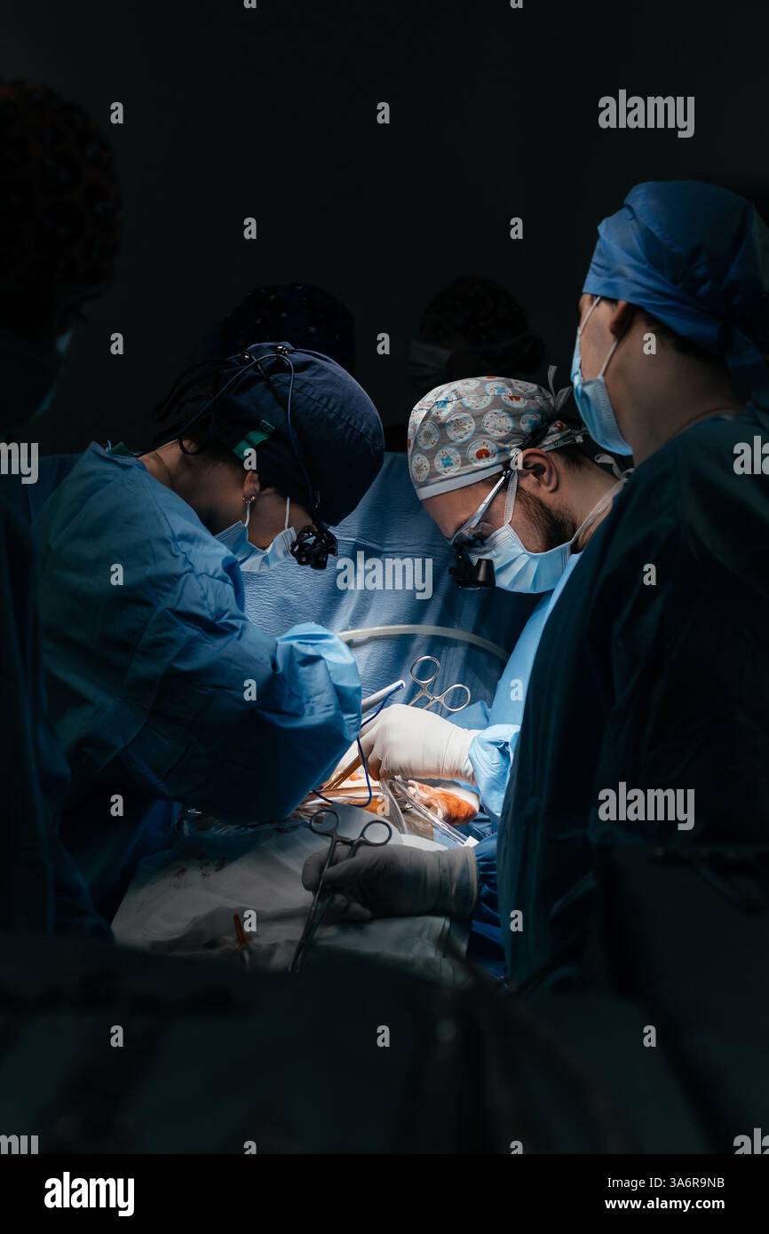 L'équipe de chirurgie opérant dans l'hôpital moderne. Les travailleurs médicaux travaillent en équipe, sauvant la vie du patient en sauvant la chirurgie plastique cardio. Transplantation d'organes Banque D'Images