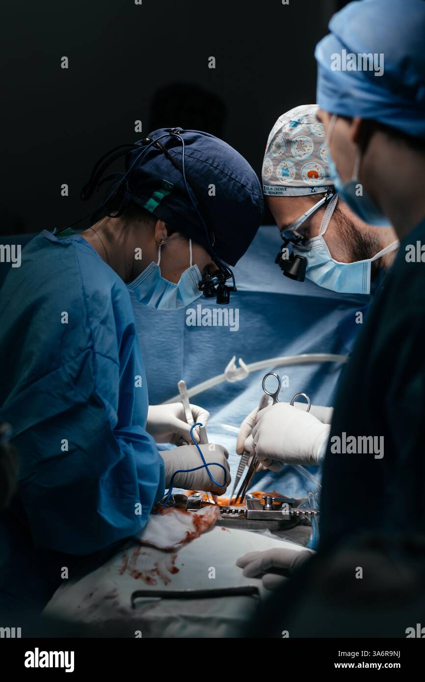 Équipe chirurgicale opérant un patient à l'hôpital. Santé et concept médical. Les médecins effectuent une opération cardiaque. Prise de vue verticale Banque D'Images