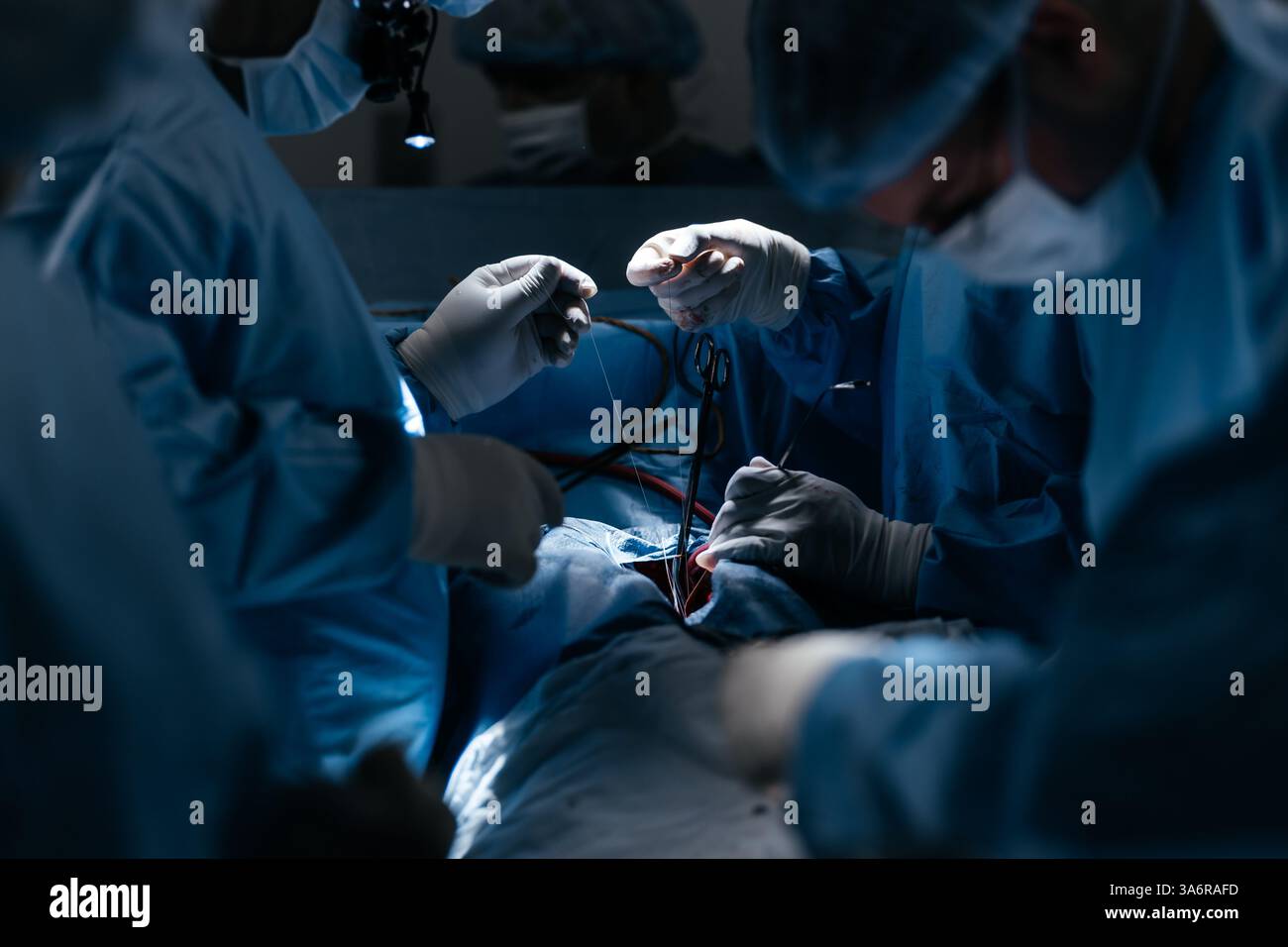 Compétences conceptuelles travailler en utilisant les dernières technologies médicales en cardiologie et transplantation. Chirurgiens, médecins travaillent pour sauver le patient Banque D'Images