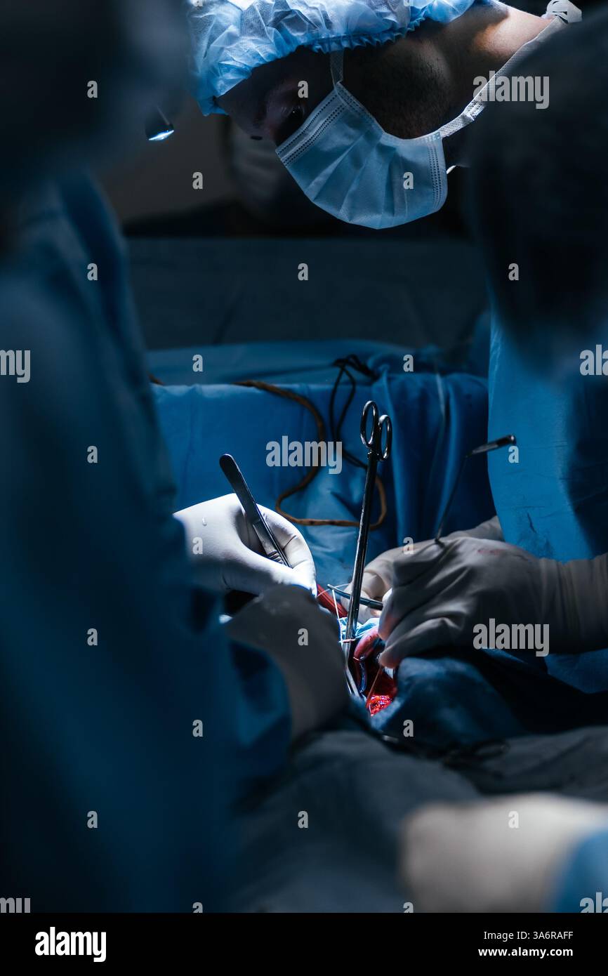 La main du chirurgien tient l'instrument chirurgical à l'intérieur de la salle d'opération à l'hôpital. Santé et concept médical. Les médecins effectuent une opération cardiaque Banque D'Images