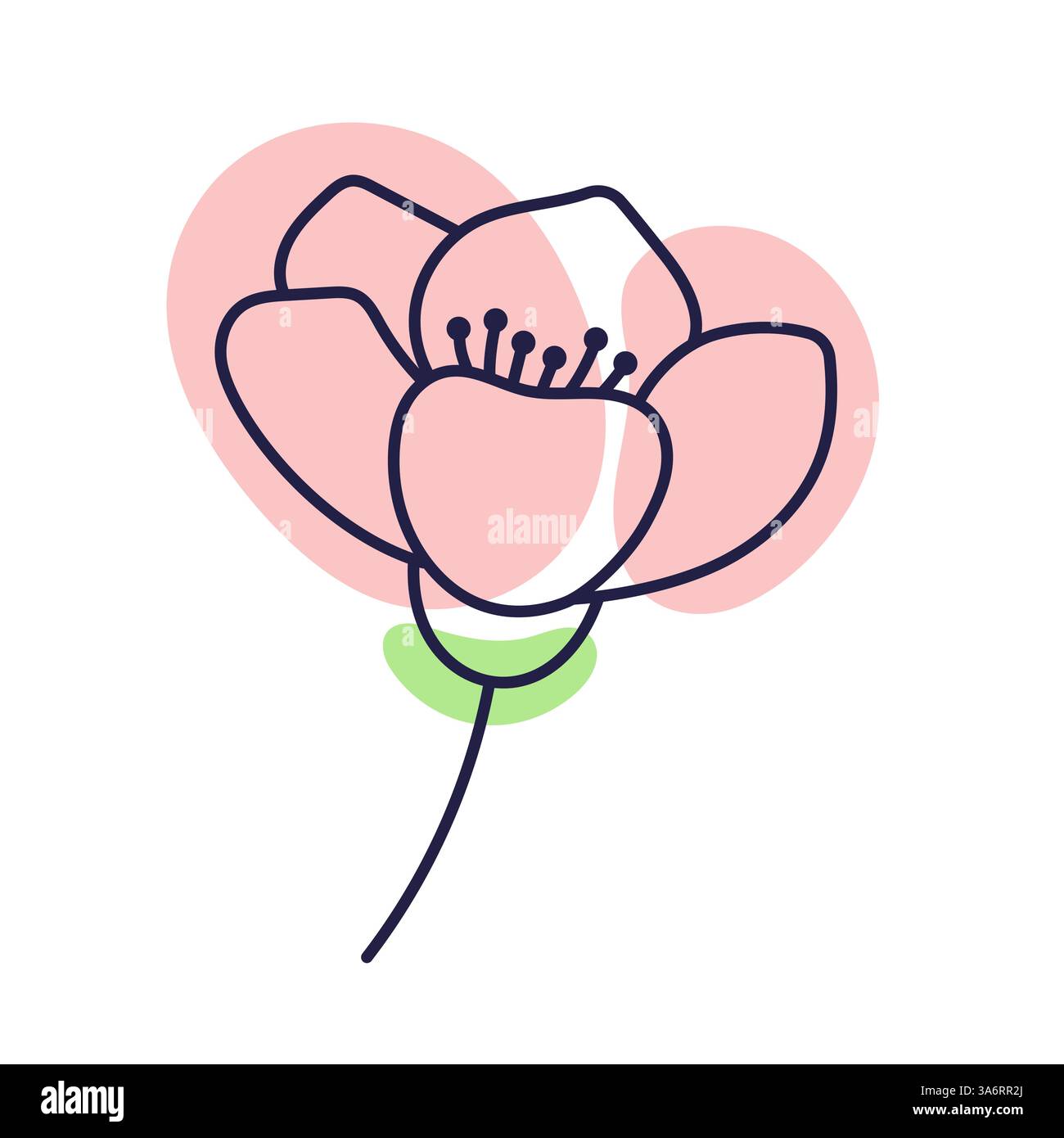 Fleur de cerisier. Illustration de contour avec points de couleur. Griffonner. Fleur de cerise dessinée à la main isoler sur blanc. Sakura Bud. Illustration de Vecteur