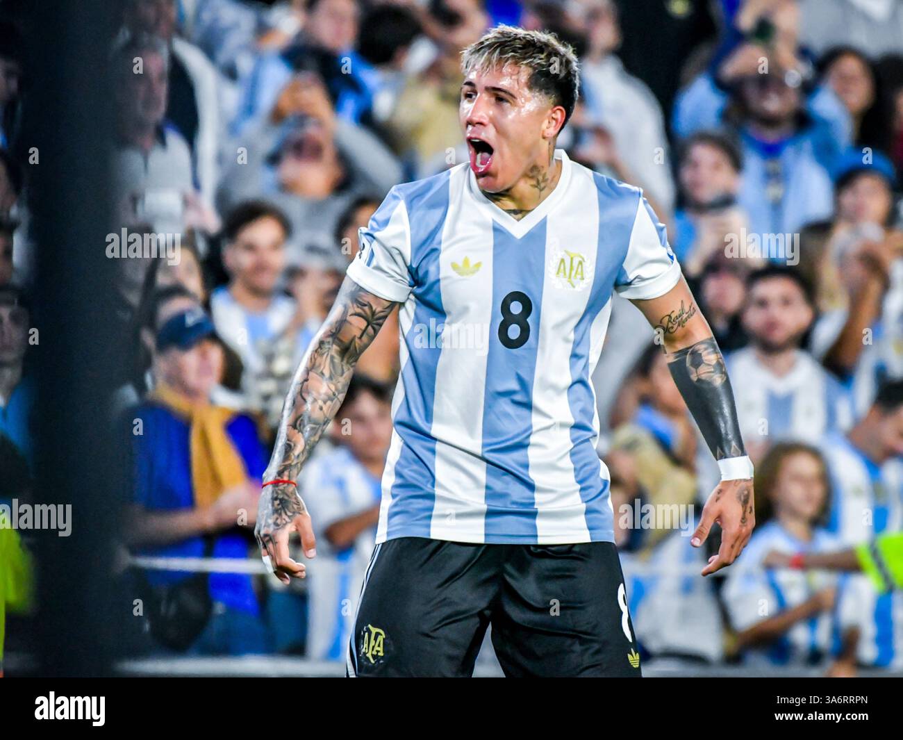 Buenos Aires, Argentine. 26 mars 2025. Enzo Fernandez célèbre son but dans le match entre l'équipe nationale Argentine et l'équipe nationale brésilienne. Stade Mas Monumental Antonio Liberti. Crédit : Facundo Morales / Alamy Live News Banque D'Images