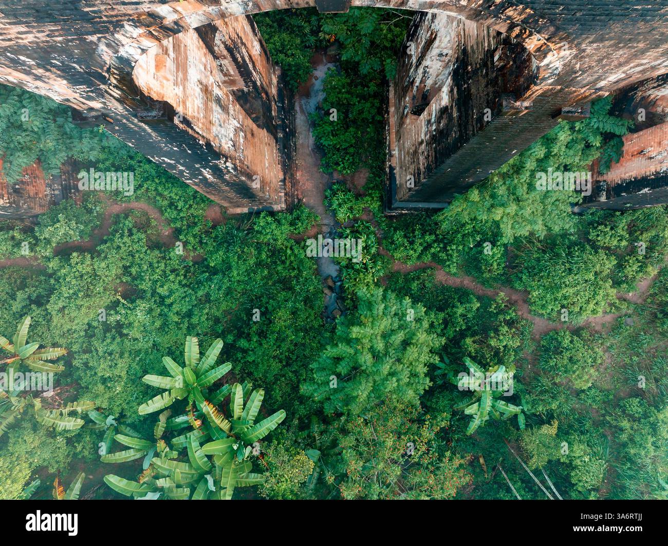 L'emblématique pont Nine Arch près d'Ella, au Sri Lanka, émerge de la brume, entouré d'une jungle tropicale luxuriante, mettant en valeur un mélange d'histoire, de nature, d'an Banque D'Images
