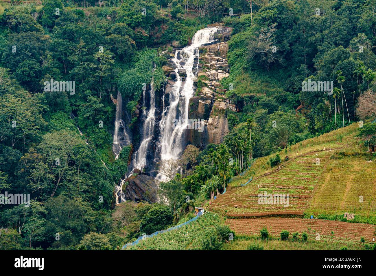 Une superbe cascade à plusieurs niveaux descend en cascade les falaises rocheuses d'Ella, au Sri Lanka, entourée d'une végétation luxuriante et de terres agricoles en terrasses, créant un cadre serein Banque D'Images
