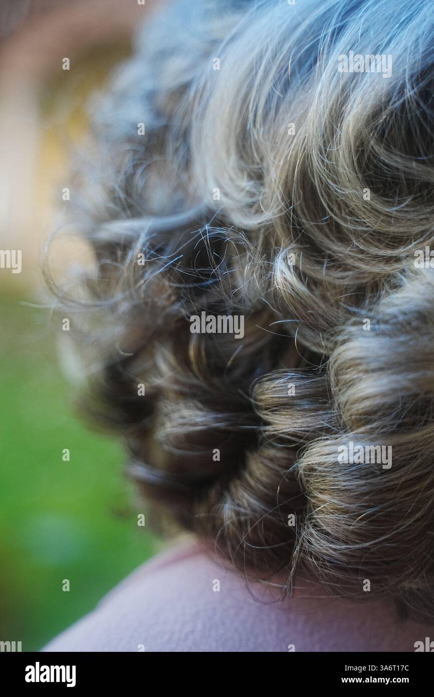 Gros plan détaillé de cheveux bouclés avec des nuances de gris et de brun, sur un fond extérieur flou. L'image met en évidence la texture et naturel Banque D'Images