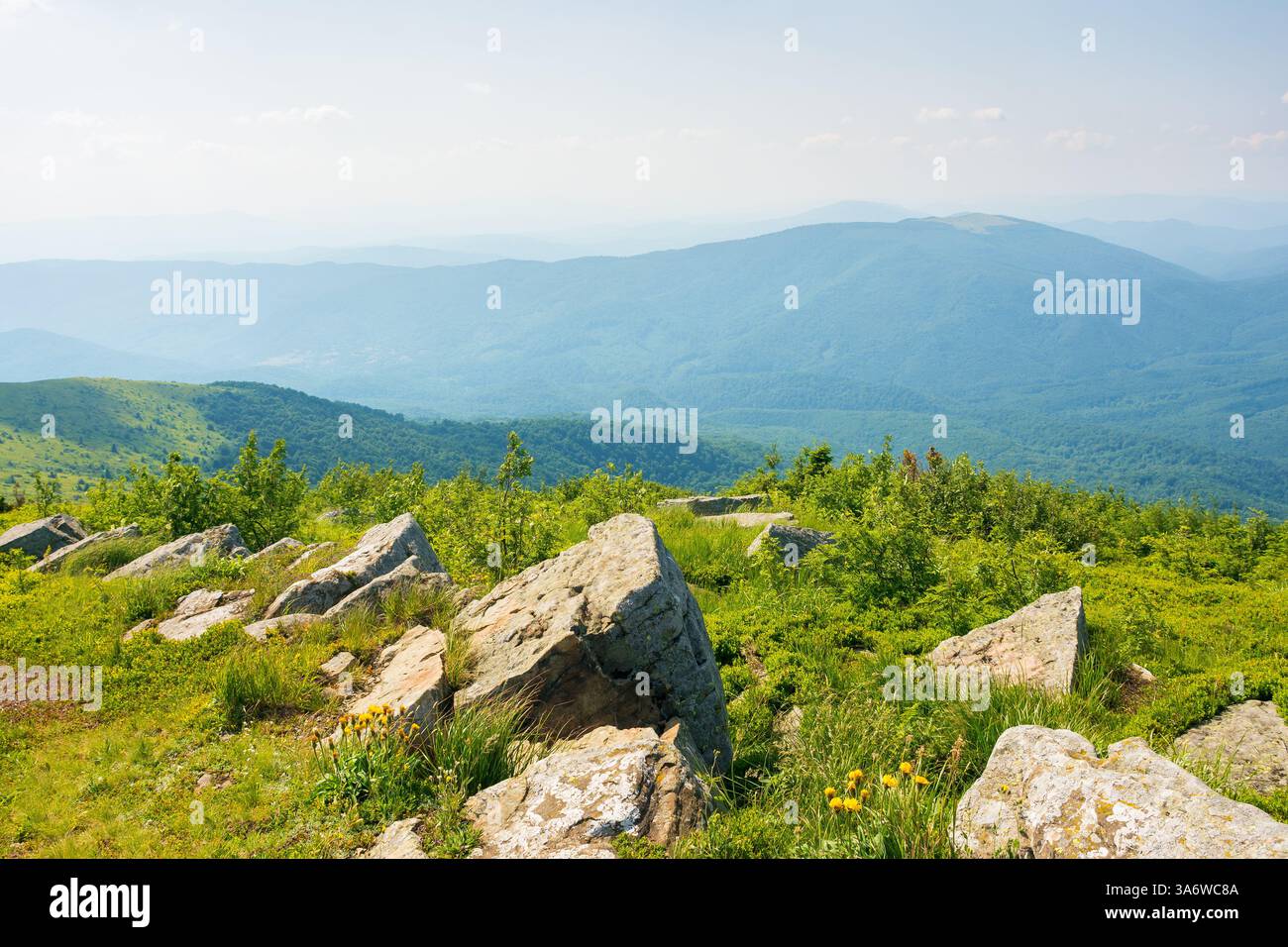 prairies alpines de la montagne des carpates lisse également appelé runa. les hautes terres de l'ukraine. herbe et pierres sur le bord d'une colline en été. afficher dans la dist Banque D'Images