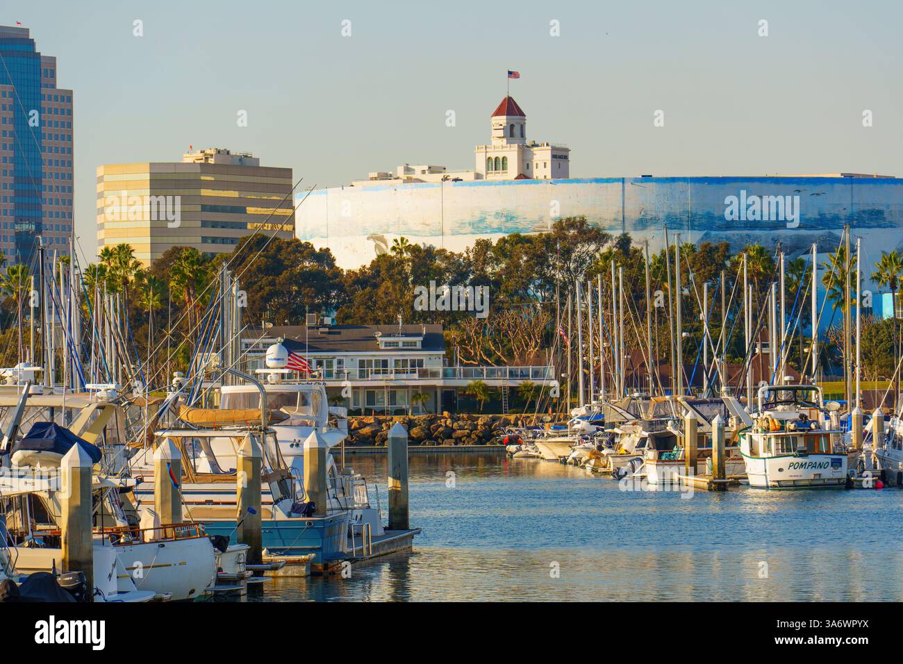 Long Beach, Californie - 11 janvier 2025 : scène pittoresque de la marina à long Beach, Californie, avec des voiliers amarrés et une ligne d'horizon urbaine vibrante sous-jacente Banque D'Images
