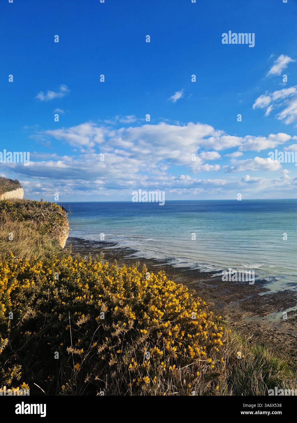 Seven Sisters Cliffs, Royaume-Uni - Image de stock capturée avec un smartphone